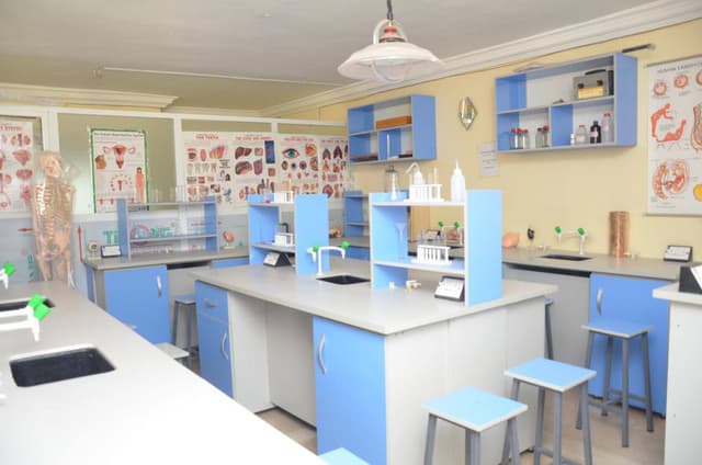 REASON WHY FAZ COLLEGE IS THE BEST ISLAMIC SCHOOL IN LAGOS